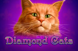 Diamond Cats